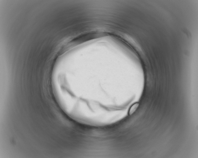 X0000113610481200910161933