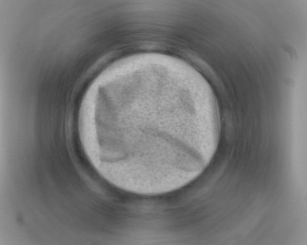 X0000113610482200910161933