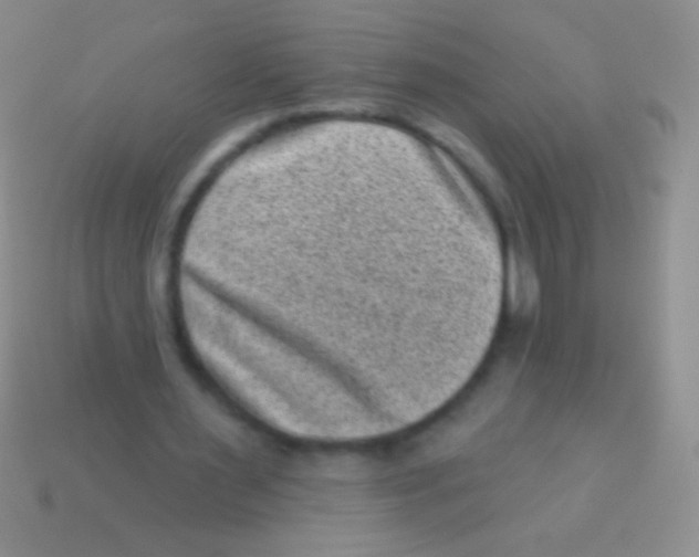 X0000113610483200910161933