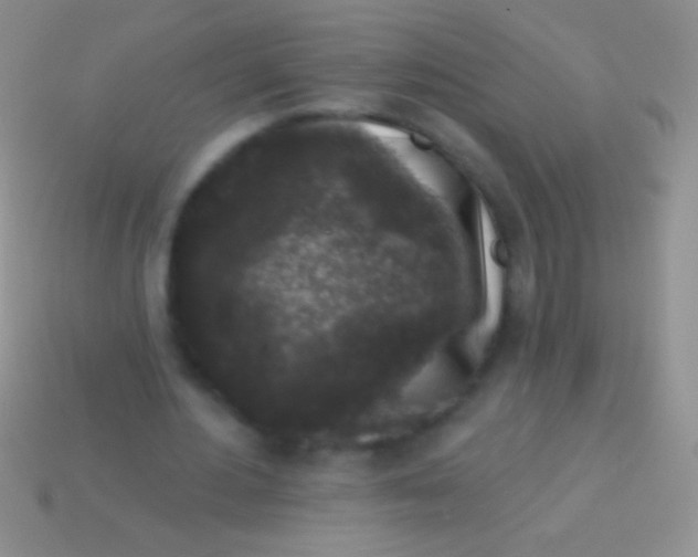 X0000113610484200910161933