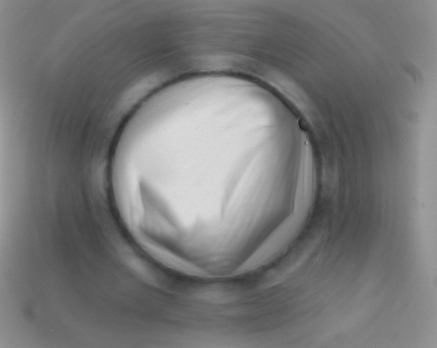 X0000113610485200910161933