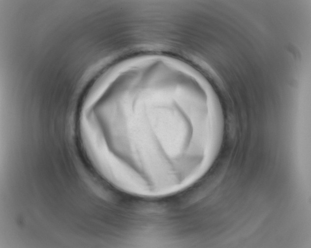 X0000113610486200910161933