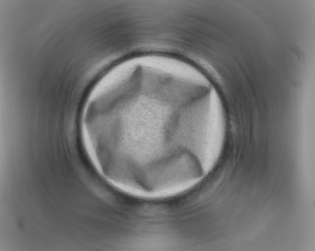 X0000113610487200910161933