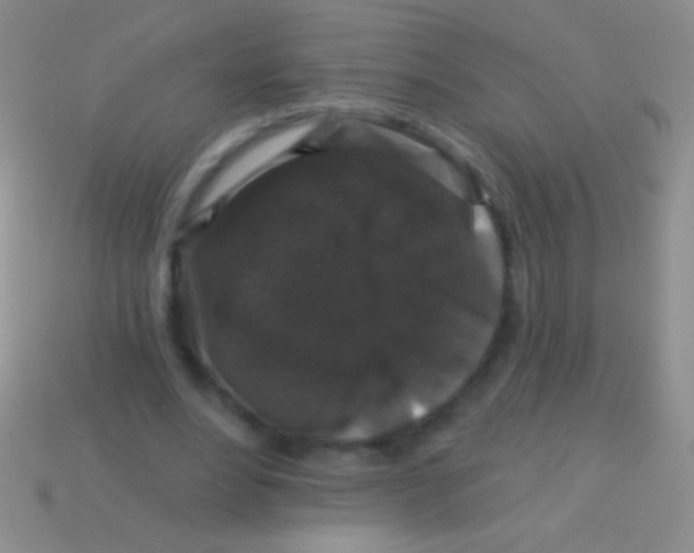 X0000113610488200910161933