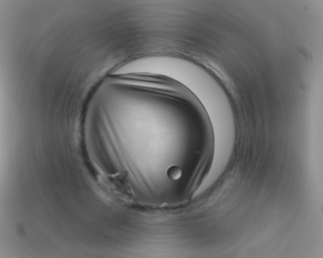 X0000113610489200910161933