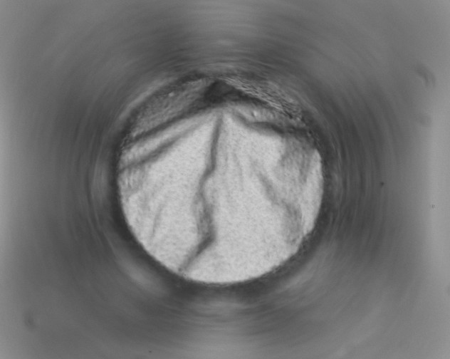 X0000113610491200910161933