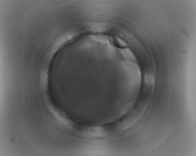 X0000113610492200910161933