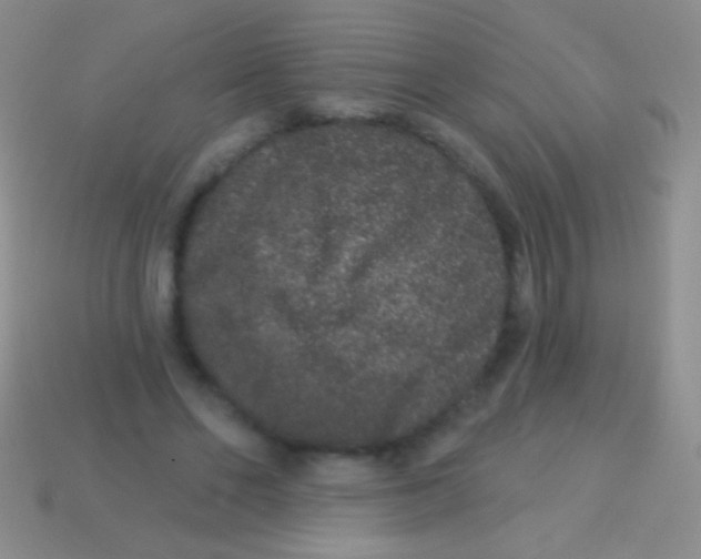 X0000113610494200910161933