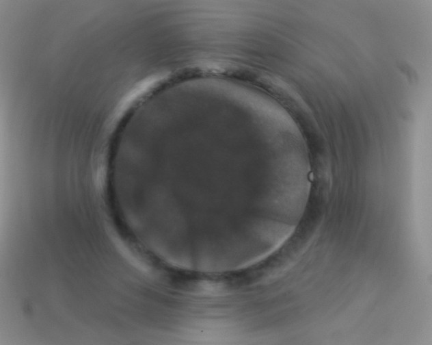 X0000113610496200910161933