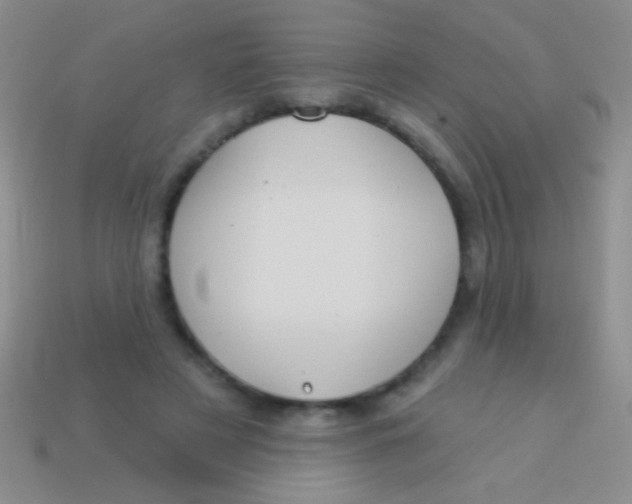 X0000113610497200910161933