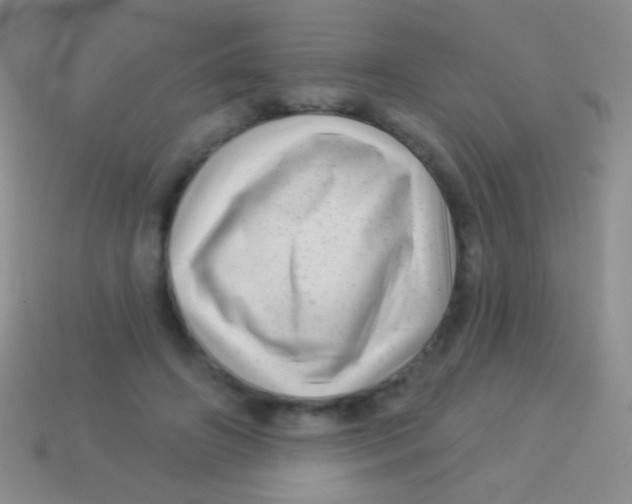 X0000113610498200910161933