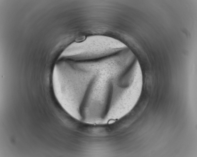 X0000113610501200910161932