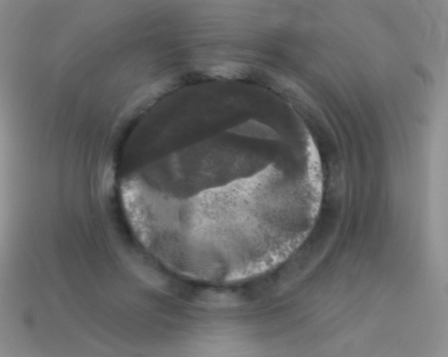 X0000113610502200910161932