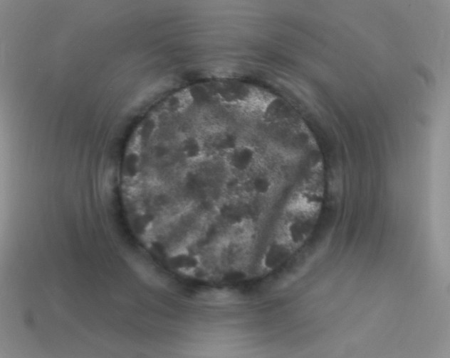 X0000113610503200910161932