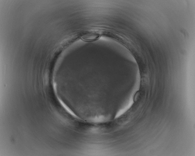 X0000113610504200910161932