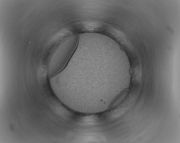 X0000113610505200910161932