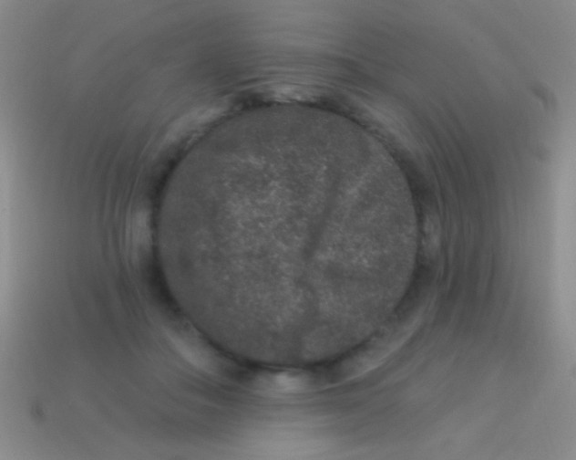 X0000113610506200910161932