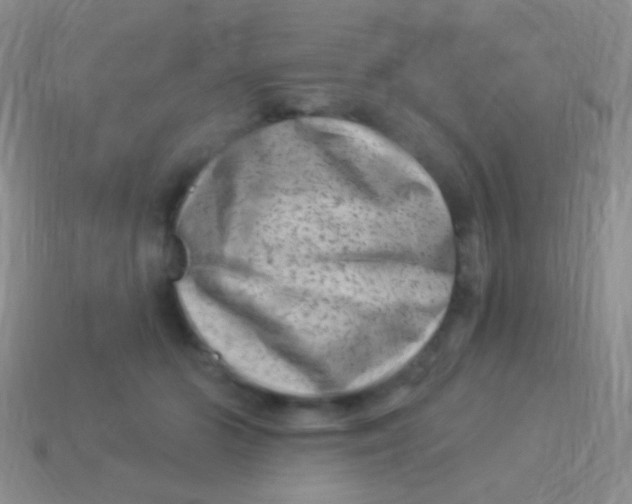 X0000113610510200910161932