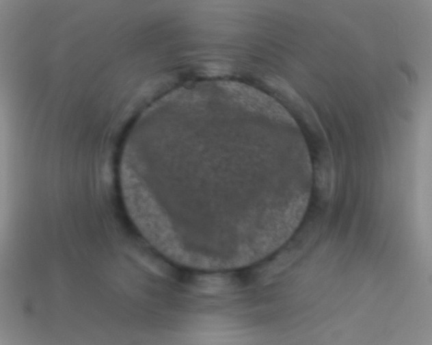 X0000113610516200910161932