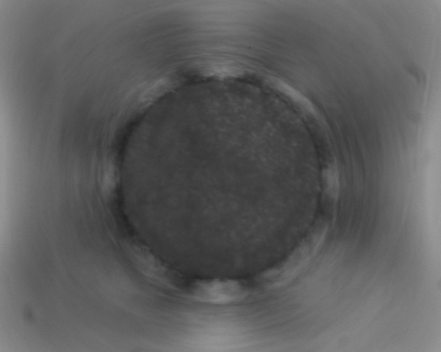 X0000113610517200910161932