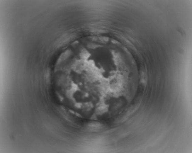 X0000113610519200910161932