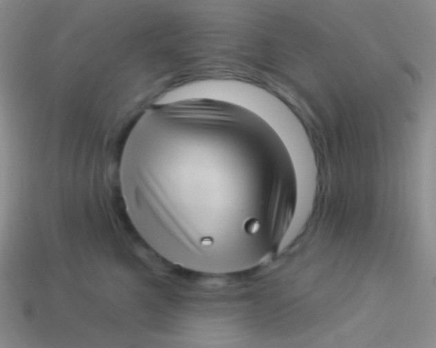 X0000113610521200910161932