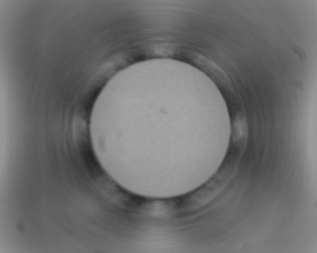 X0000113610522200910161932