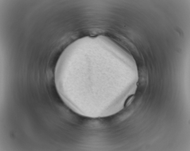 X0000113610523200910161932