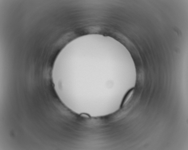 X0000113610525200910161932