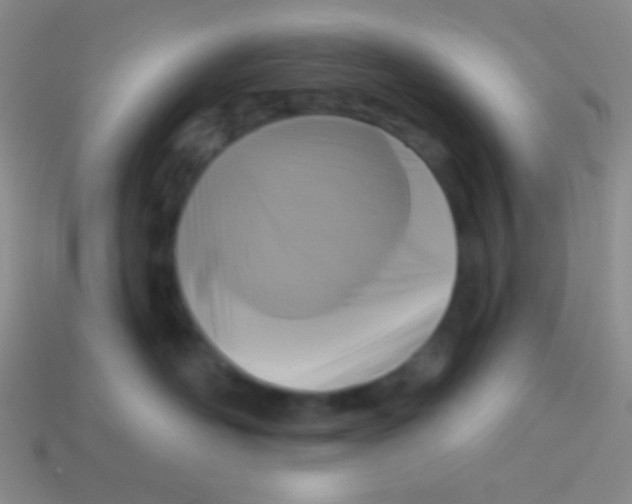 X0000113610526200910161932