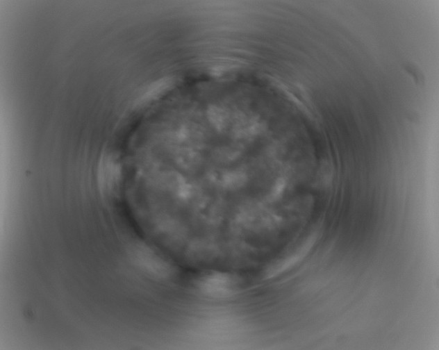 X0000113610527200910161932