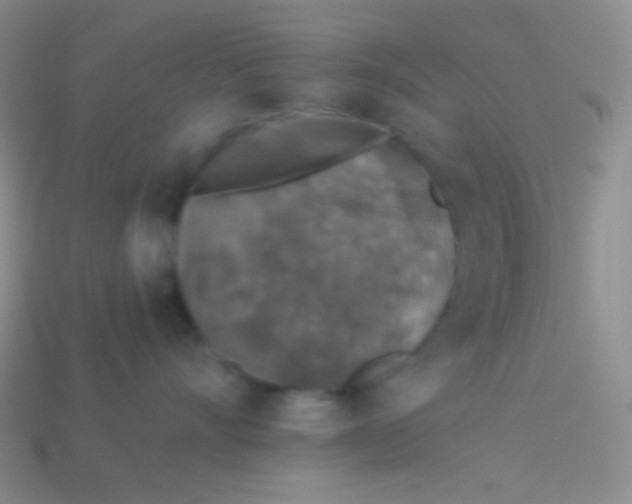 X0000113610528200910161932