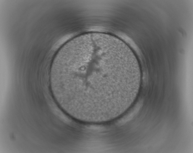 X0000113610529200910161931