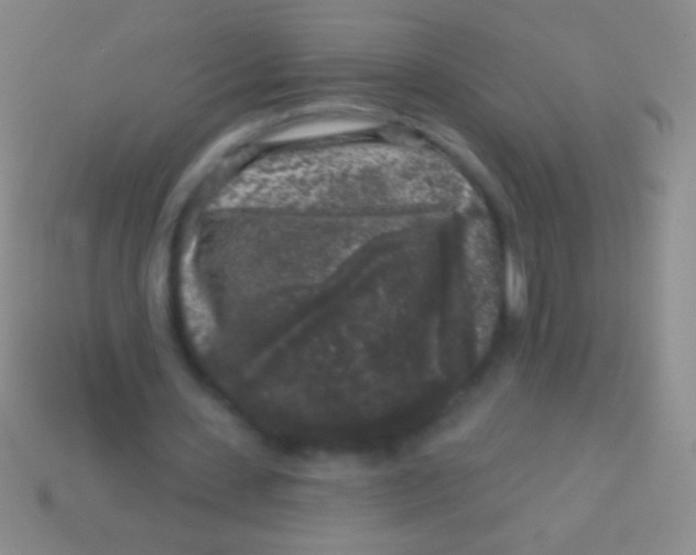 X0000113610531200910161931