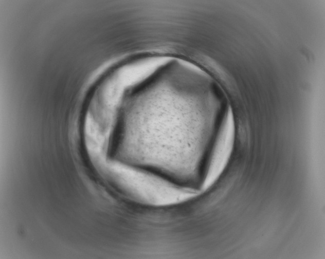 X0000113610532200910161931