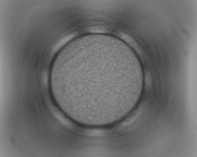 X0000113610533200910161931