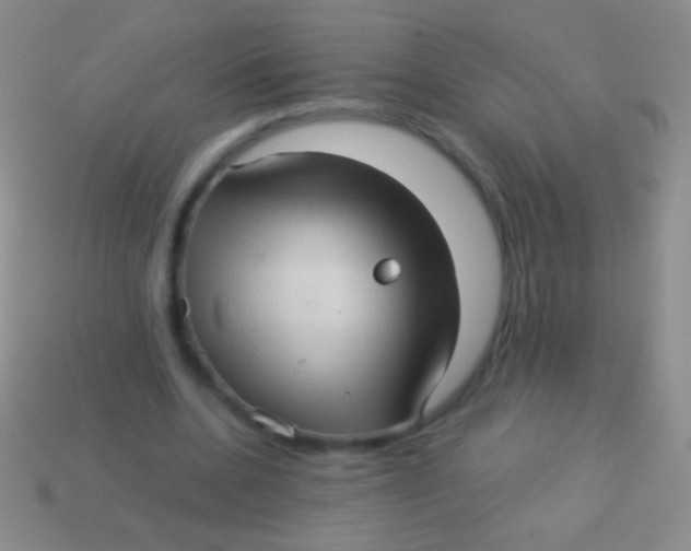 X0000113610536200910161932