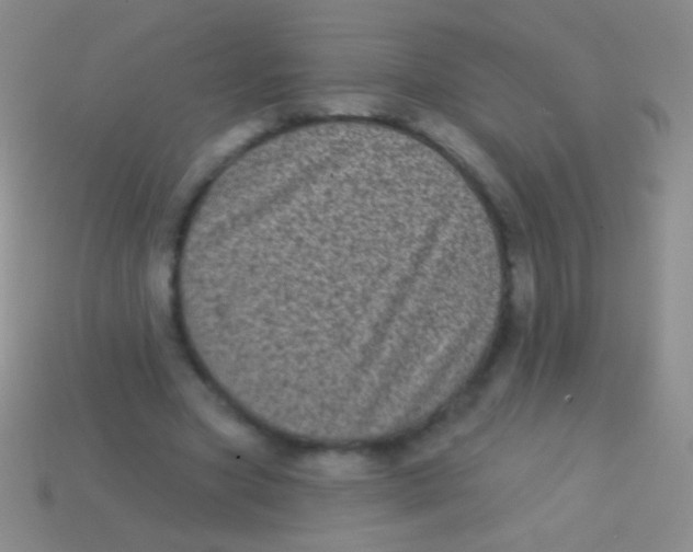 X0000113610537200910161932