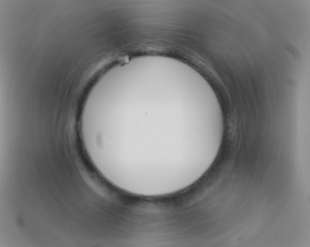 X0000113610538200910161932