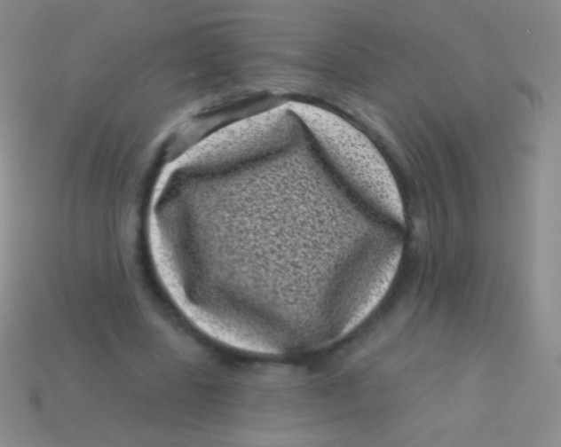 X0000113610539200910161932