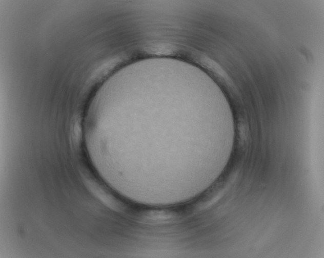 X0000113610541200910161932