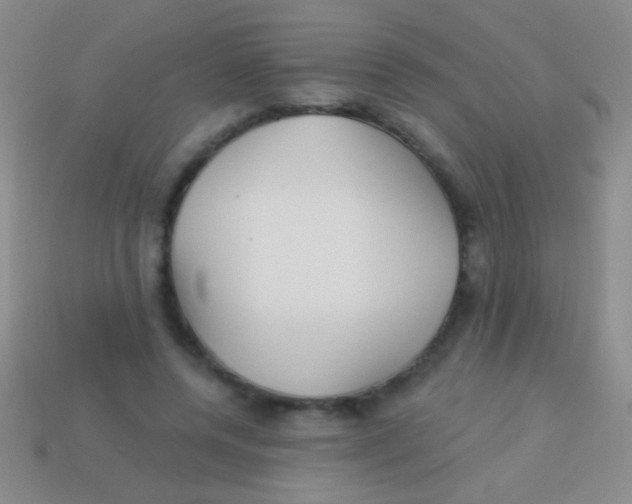 X0000113610544200910161932