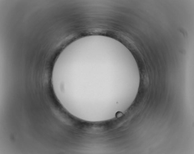 X0000113610546200910161932