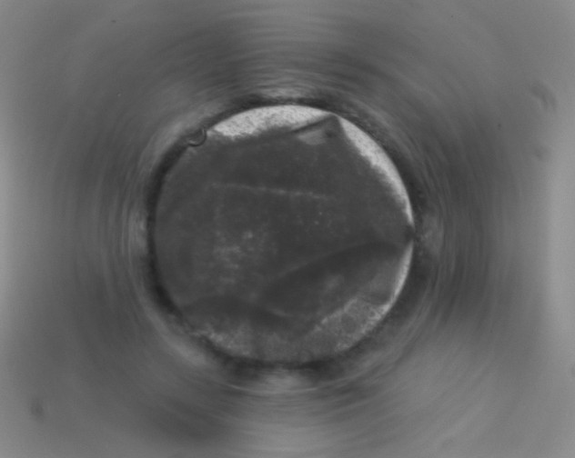 X0000113610547200910161932