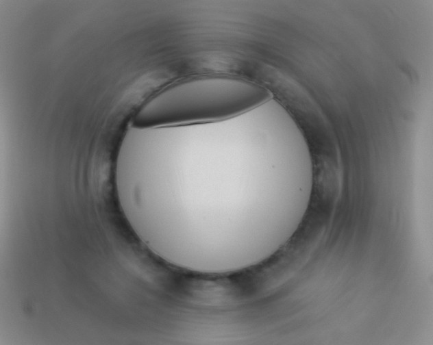 X0000113610548200910161932