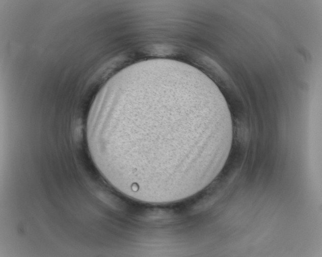 X0000113610549200910161932