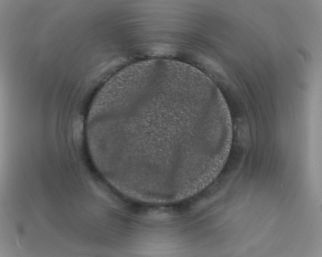 X0000113610550200910161932