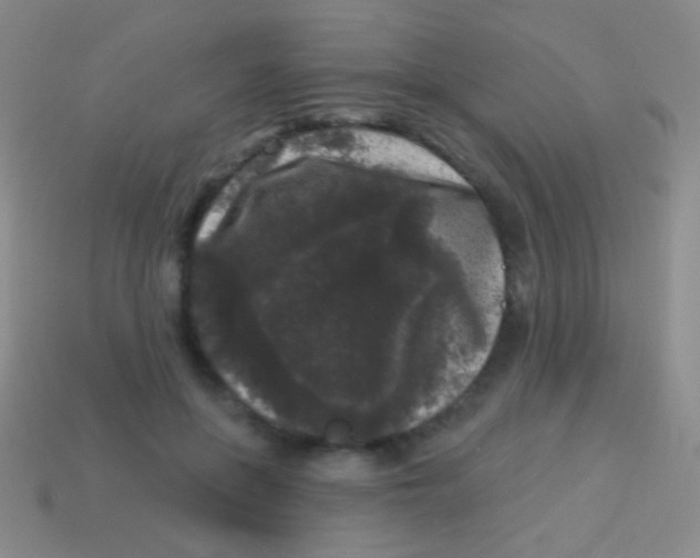 X0000113610551200910161932