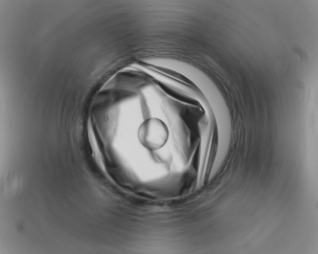 X0000113610552200910161932