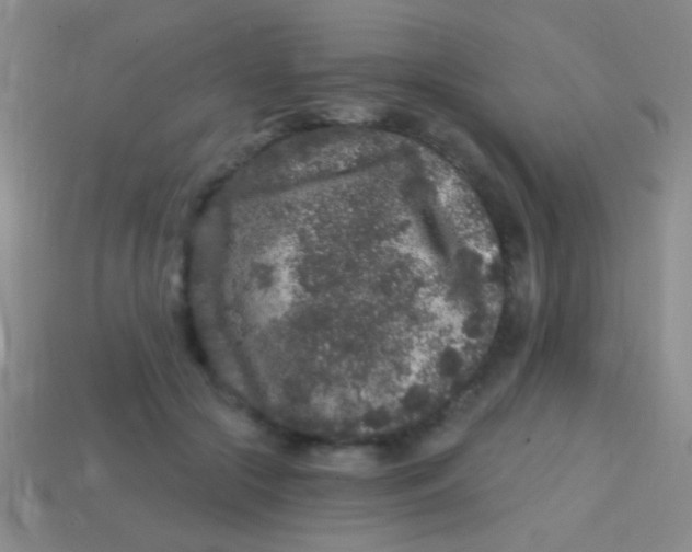 X0000113610553200910161932